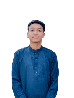 Mahmudul Hasan